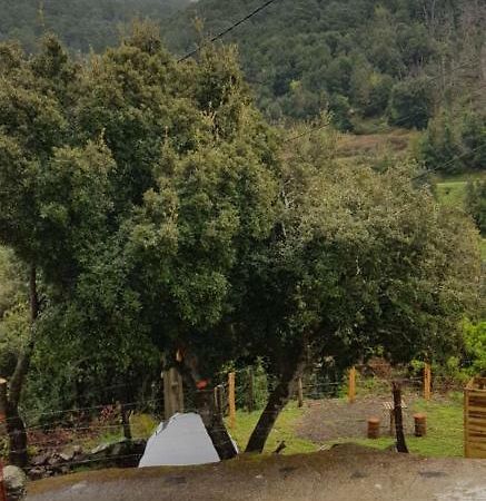 Camping L'Agrottu Au Coeur De La Corse Santa-Lucia-di-Mercurio Exterior foto
