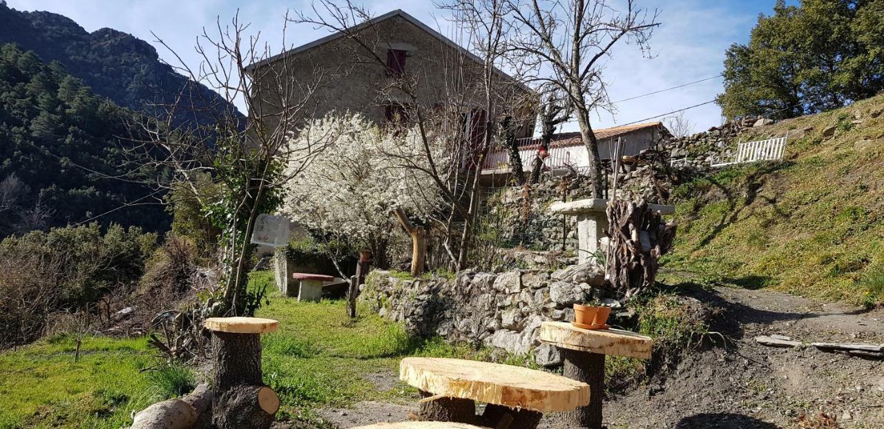 Camping L'Agrottu Au Coeur De La Corse Santa-Lucia-di-Mercurio Exterior foto