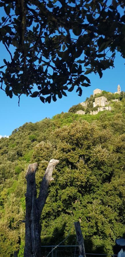 Camping L'Agrottu Au Coeur De La Corse Santa-Lucia-di-Mercurio Exterior foto